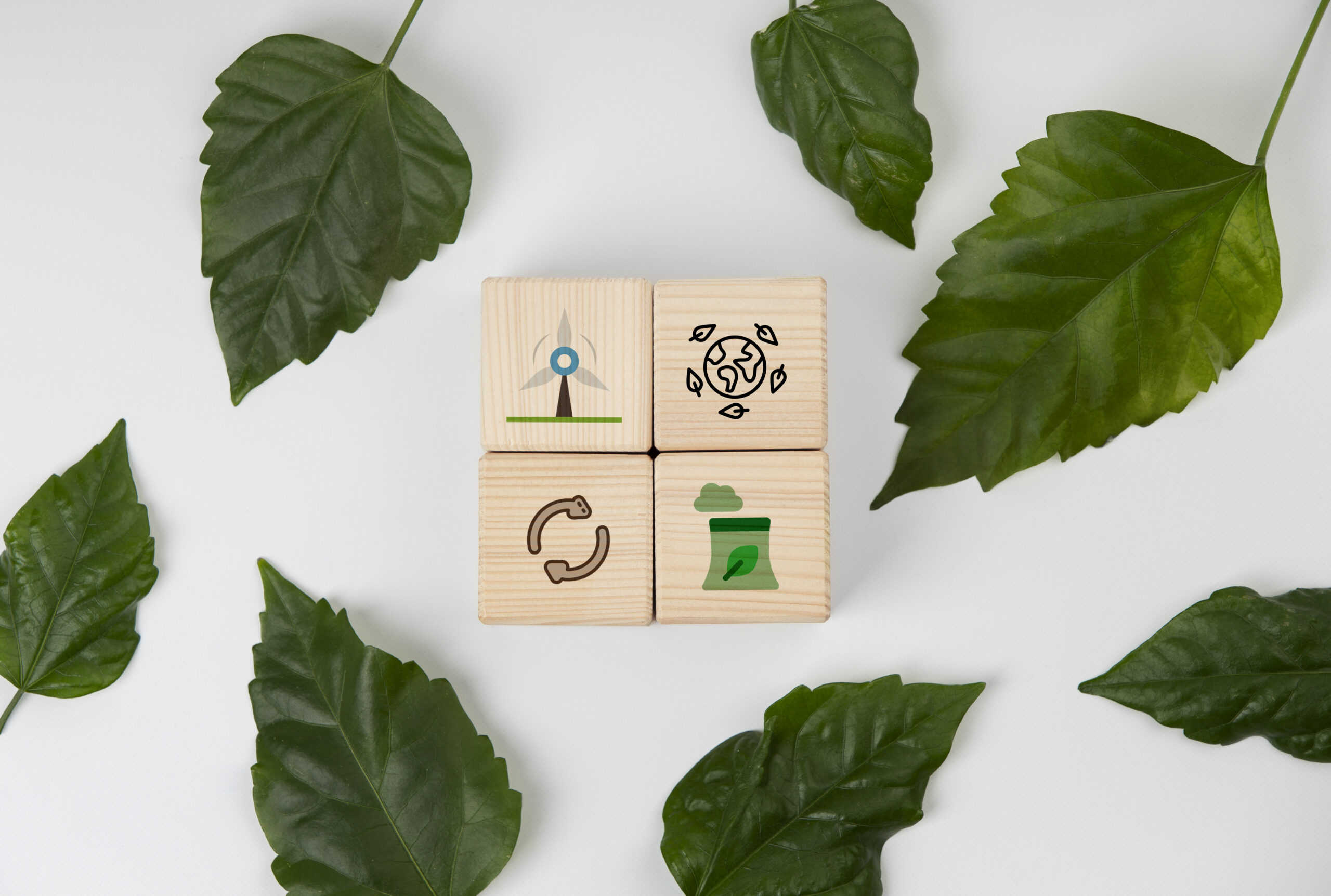 clima e biodiversità 2025