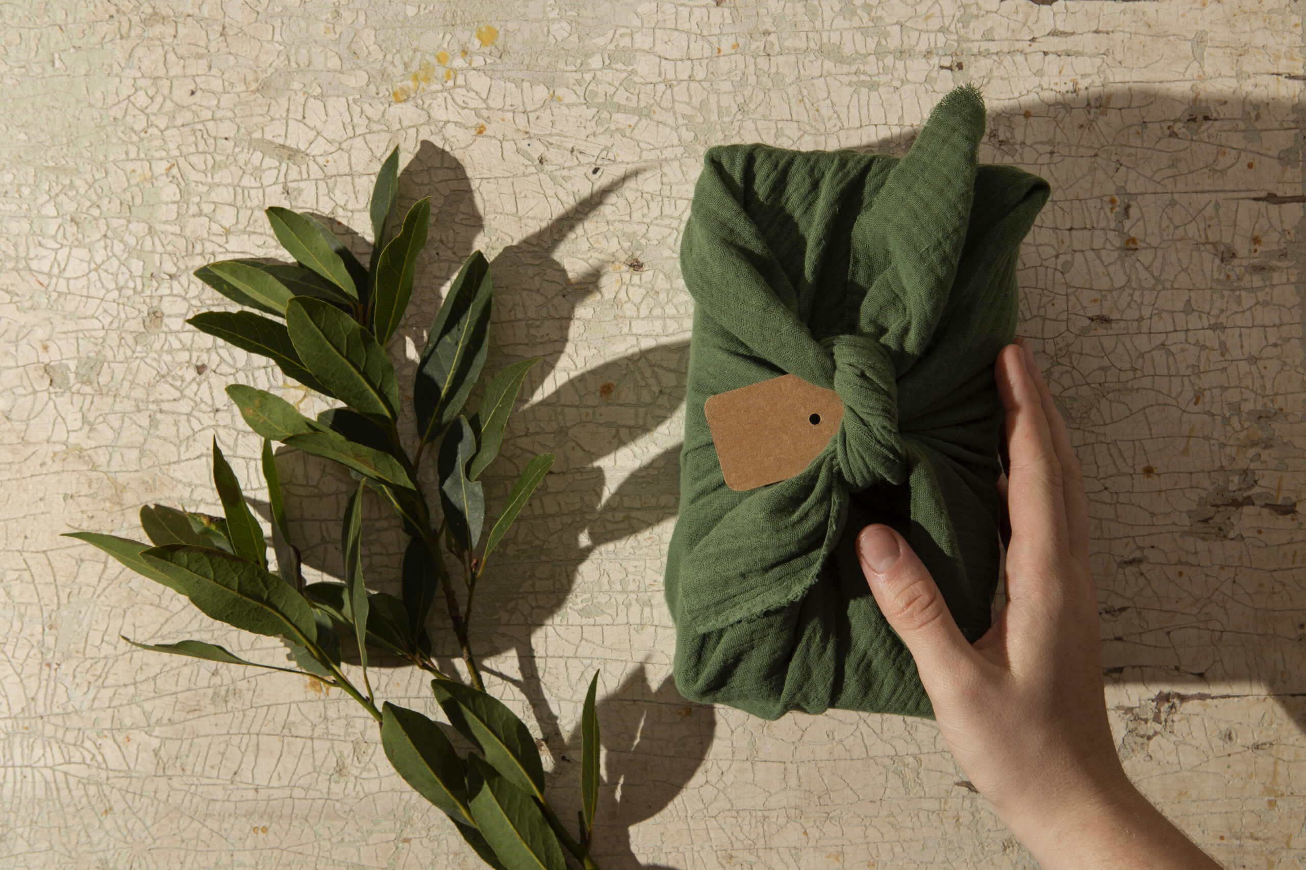 sustainable brands