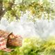 Picnic vegano