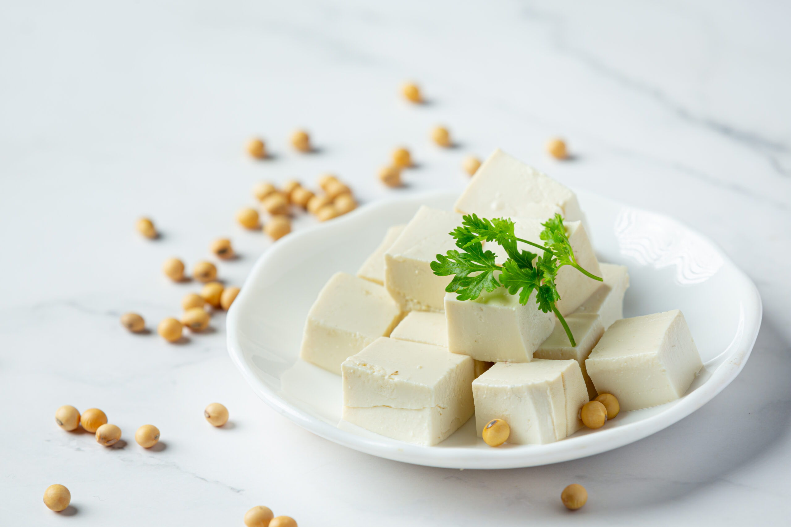 5 alternative vegetali alla carne