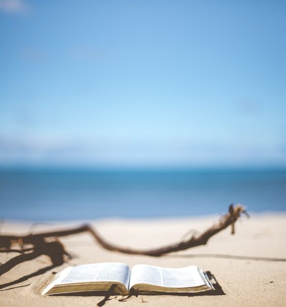 Romanzi da portare in vacanza