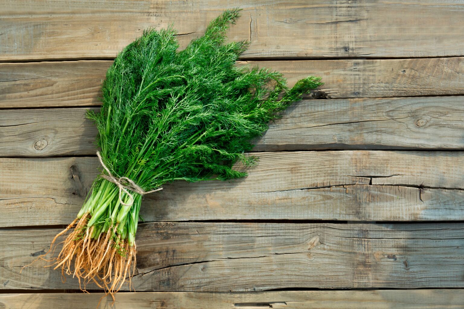 Merende veg