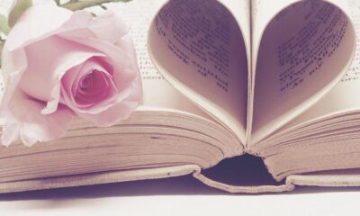 I migliori romanzi rosa del 2025