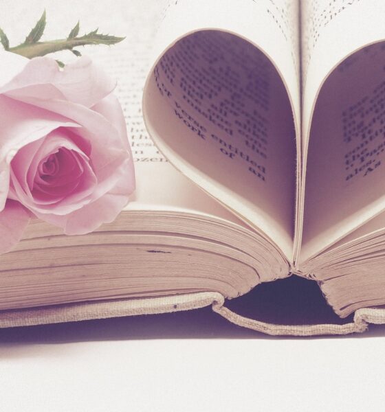 I migliori romanzi rosa del 2025