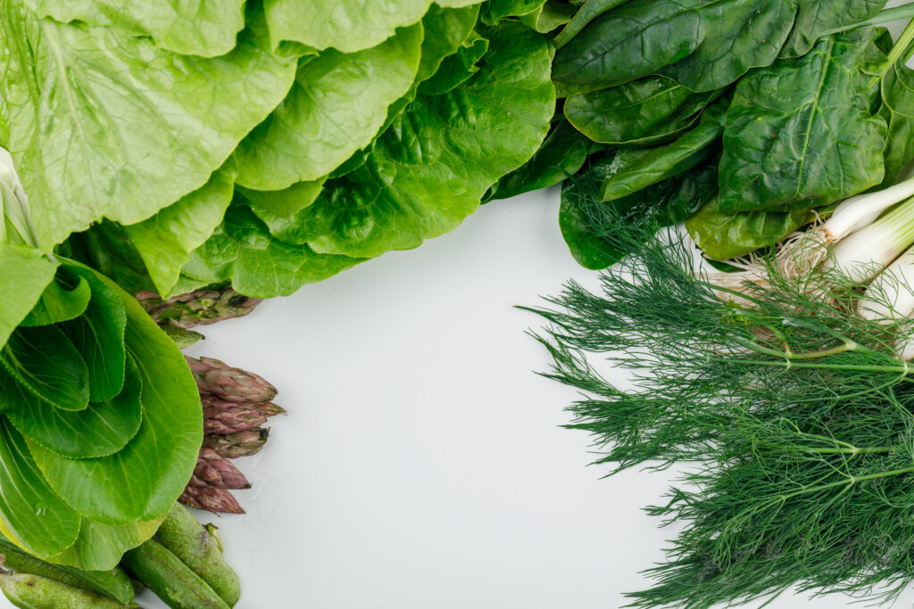 Come conservare le verdure 