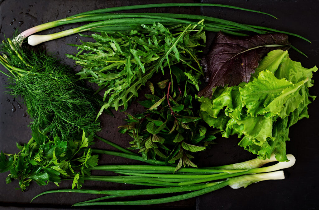 Come conservare le verdure 