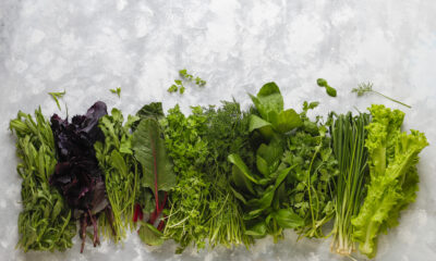 Come conservare le verdure