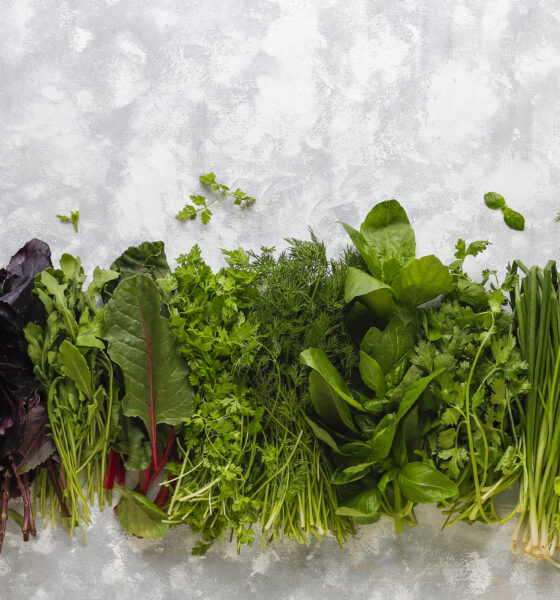 Come conservare le verdure