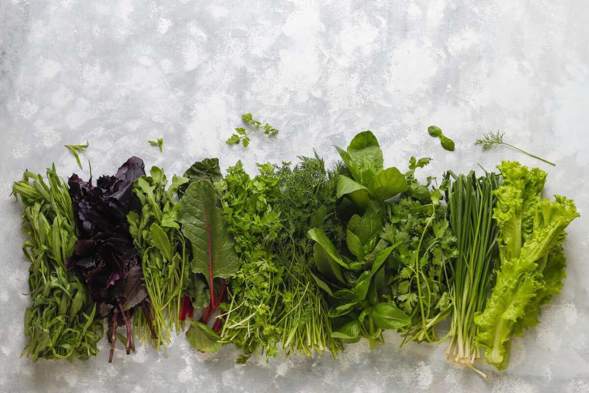 Come conservare le verdure