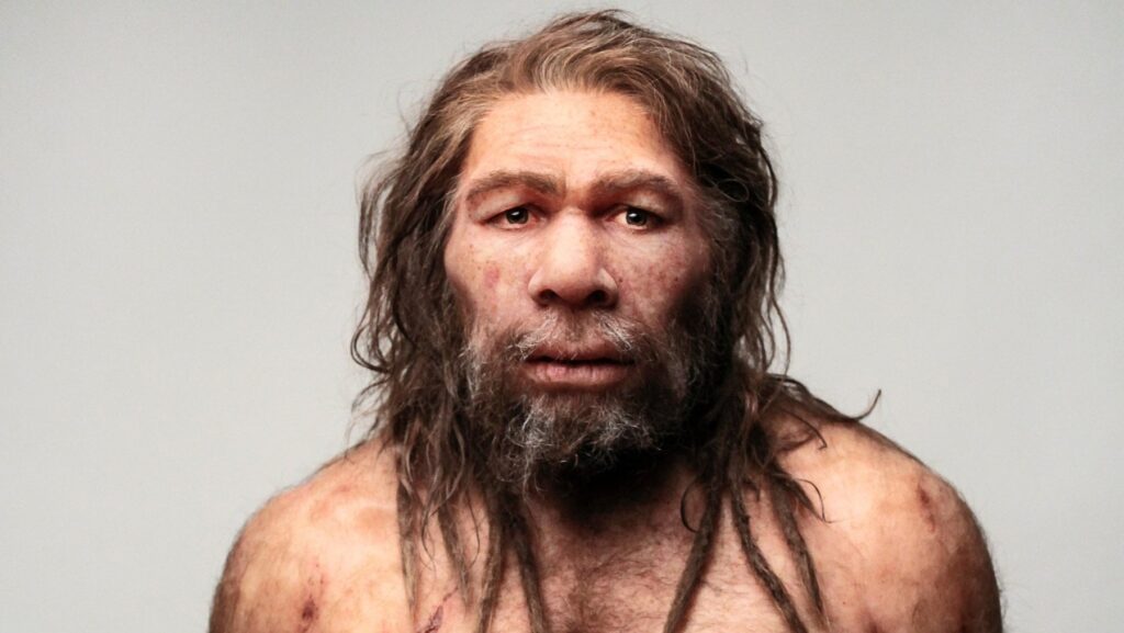 Trovata in Spagna un'impronta digitale di un Neanderthal