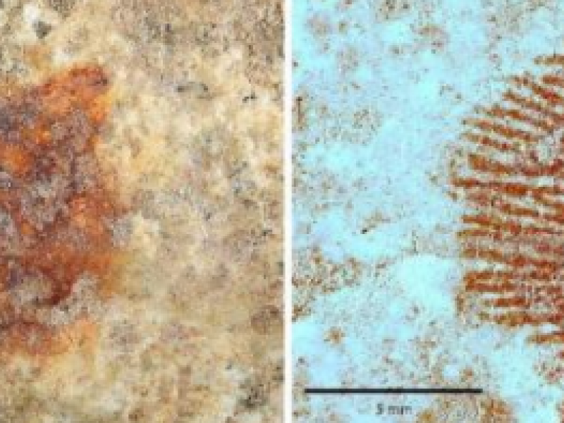 Trovata in Spagna un'impronta digitale di un Neanderthal