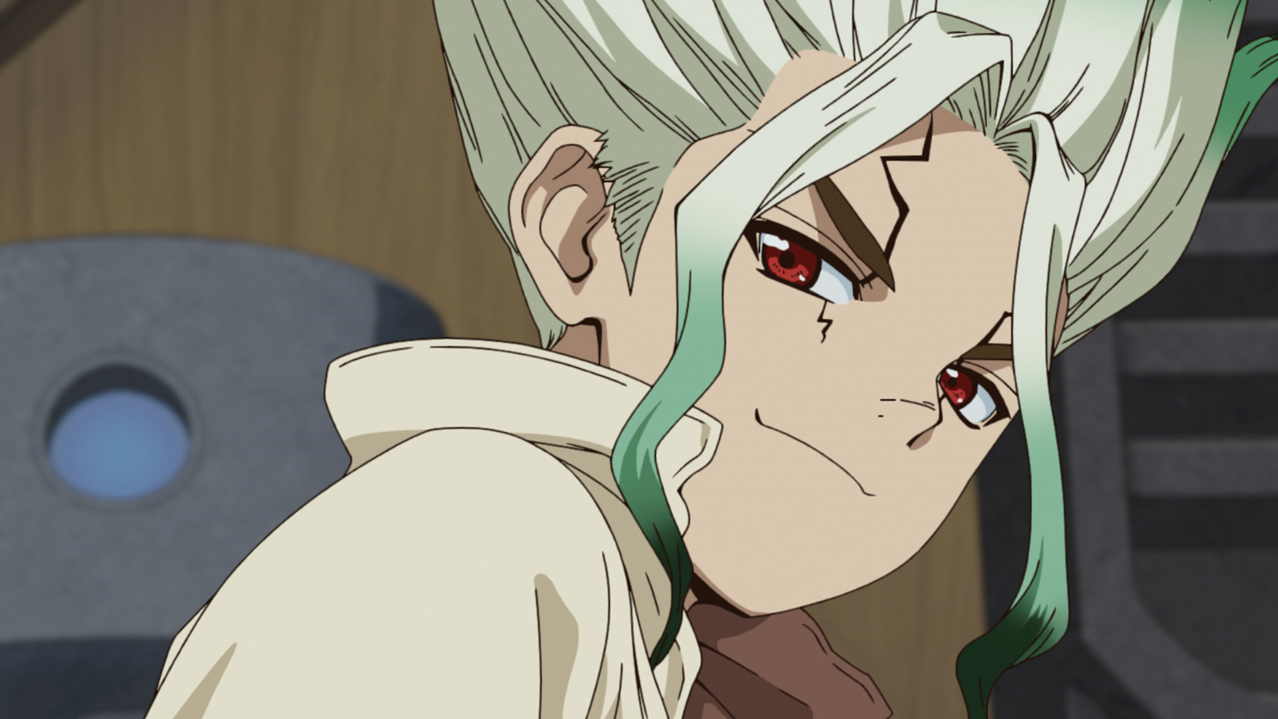 Dr. Stone