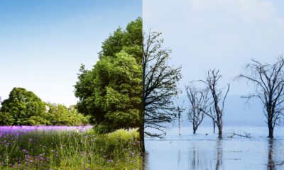 clima e biodiversità 2025