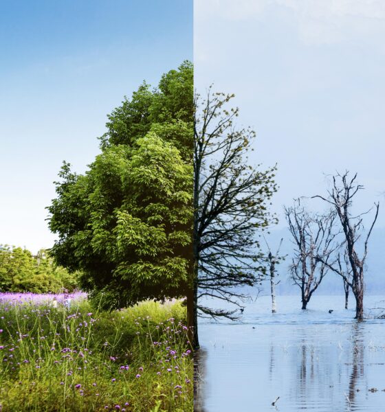clima e biodiversità 2025