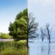 clima e biodiversità 2025