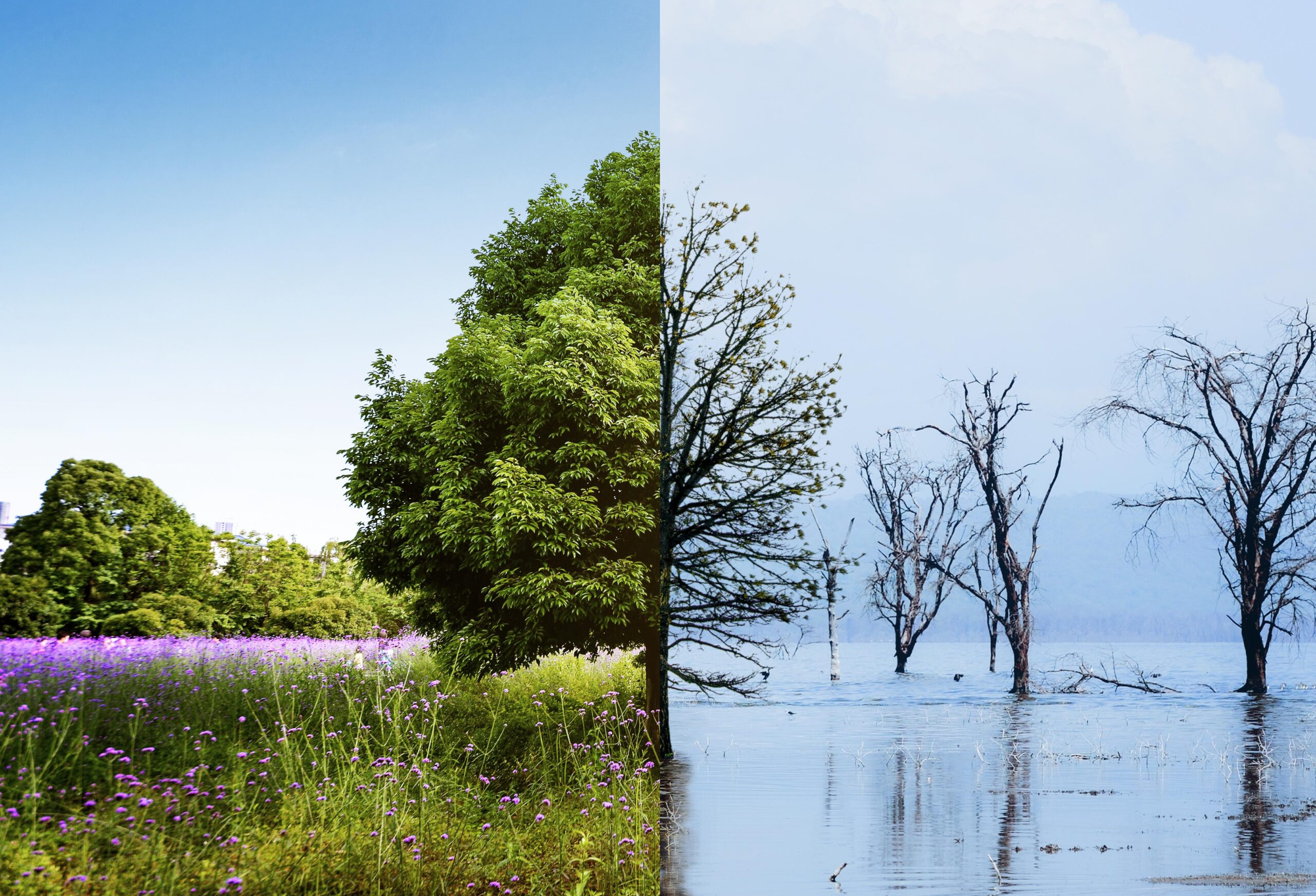 clima e biodiversità 2025