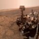 Un piccolo corallo scoperto dal rover