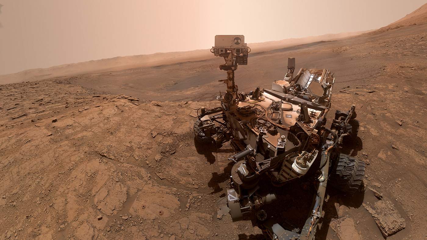 Un piccolo corallo scoperto dal rover