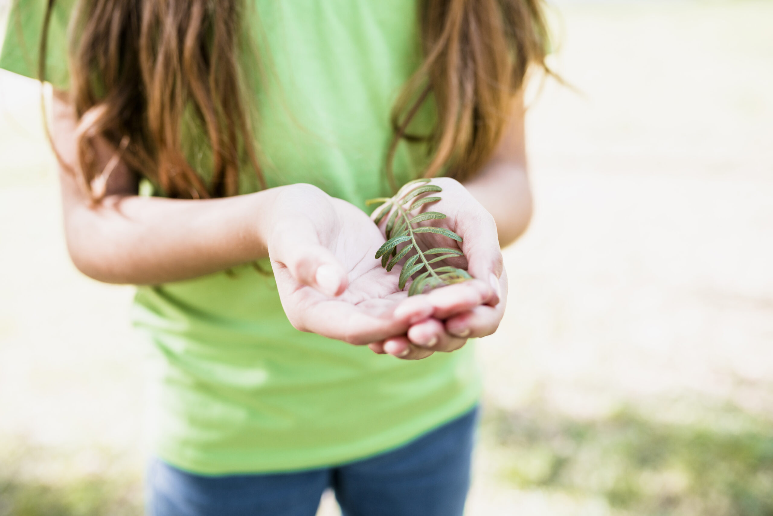 proteggere la natura ecco come fare