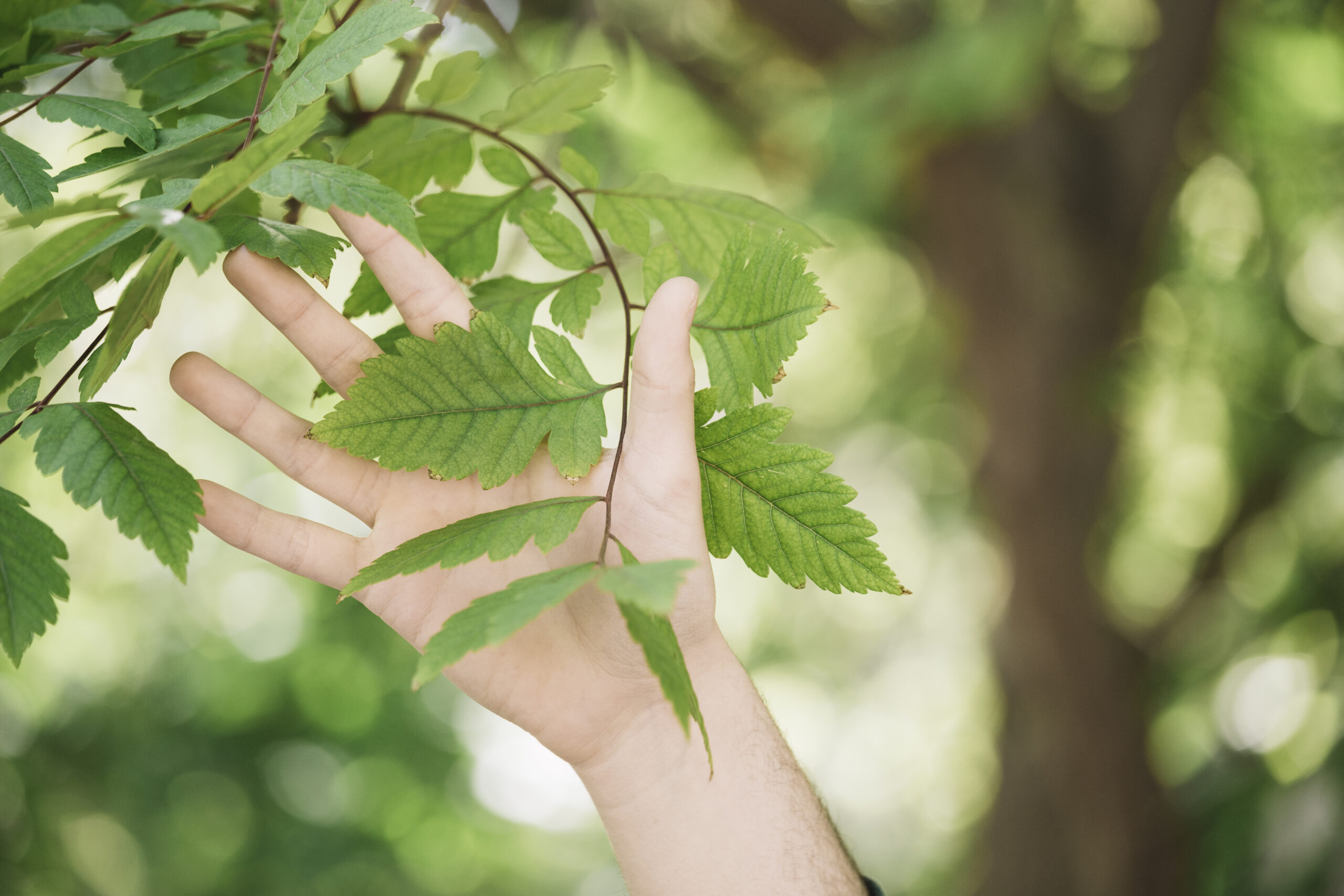 proteggere la natura come fare