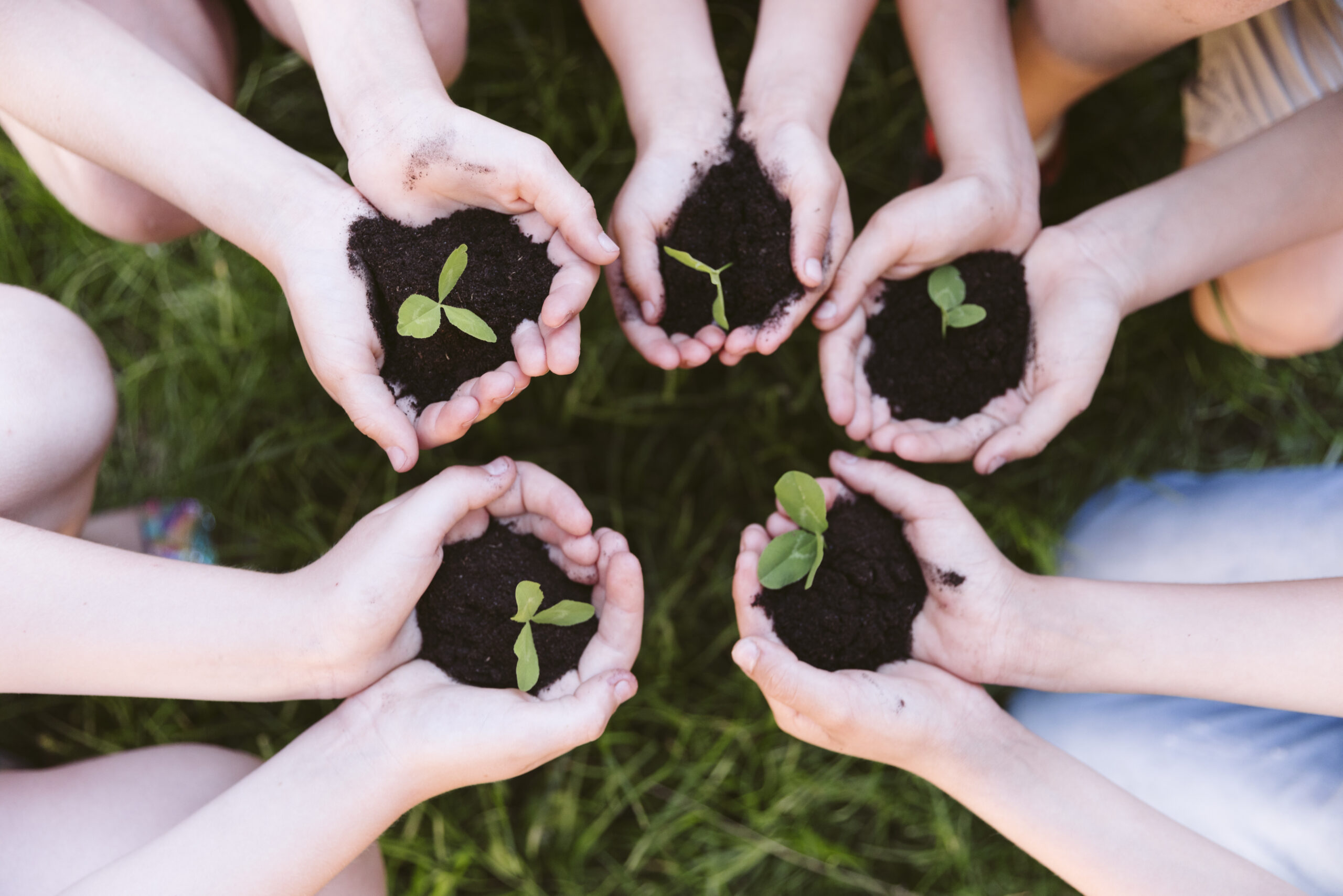 proteggere la natura educando i piccoli