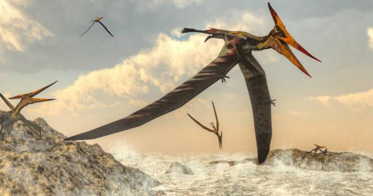 Pterosauri