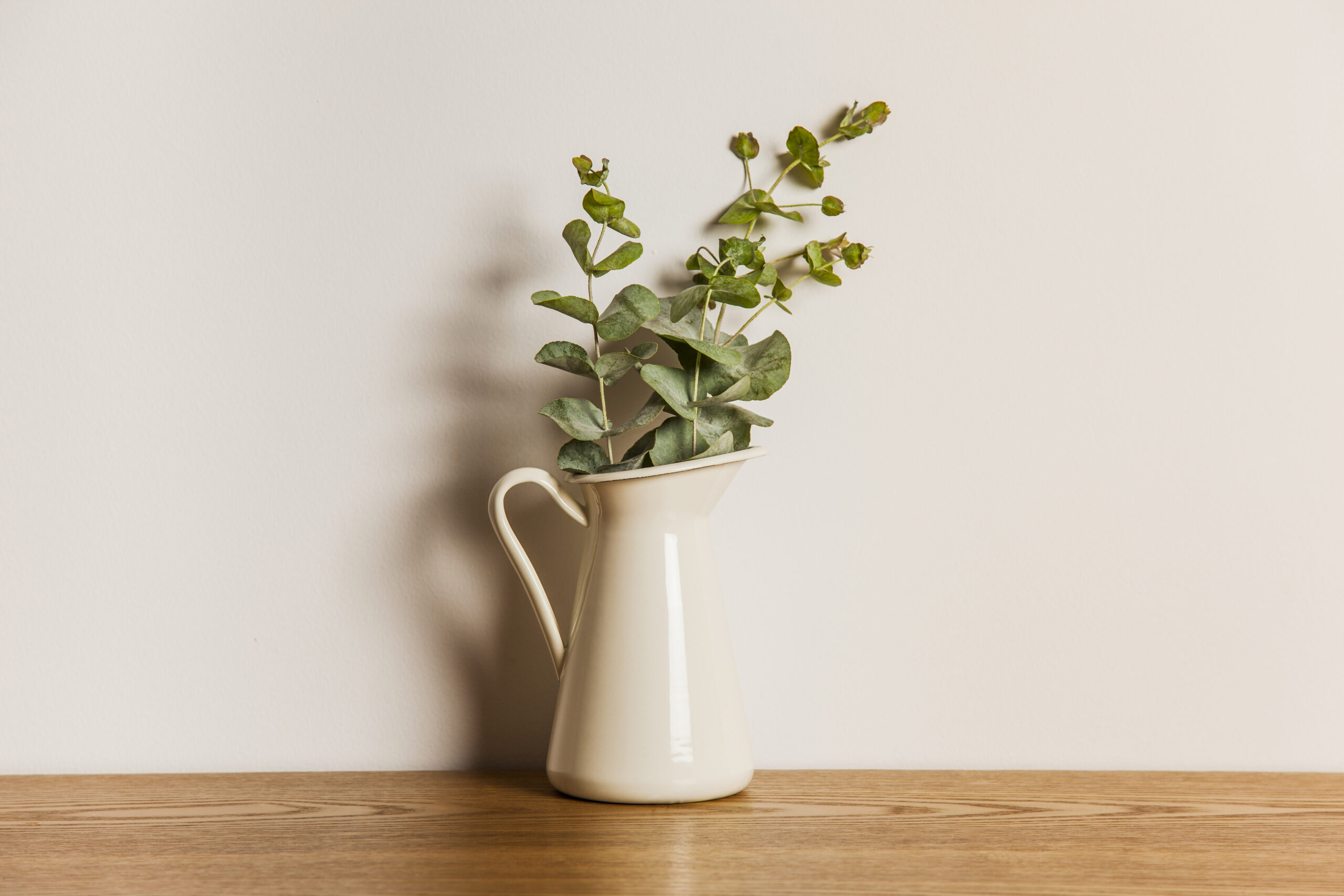 botanica in casa