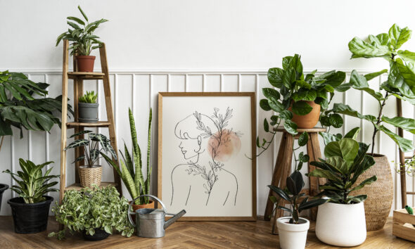 botanica in casa