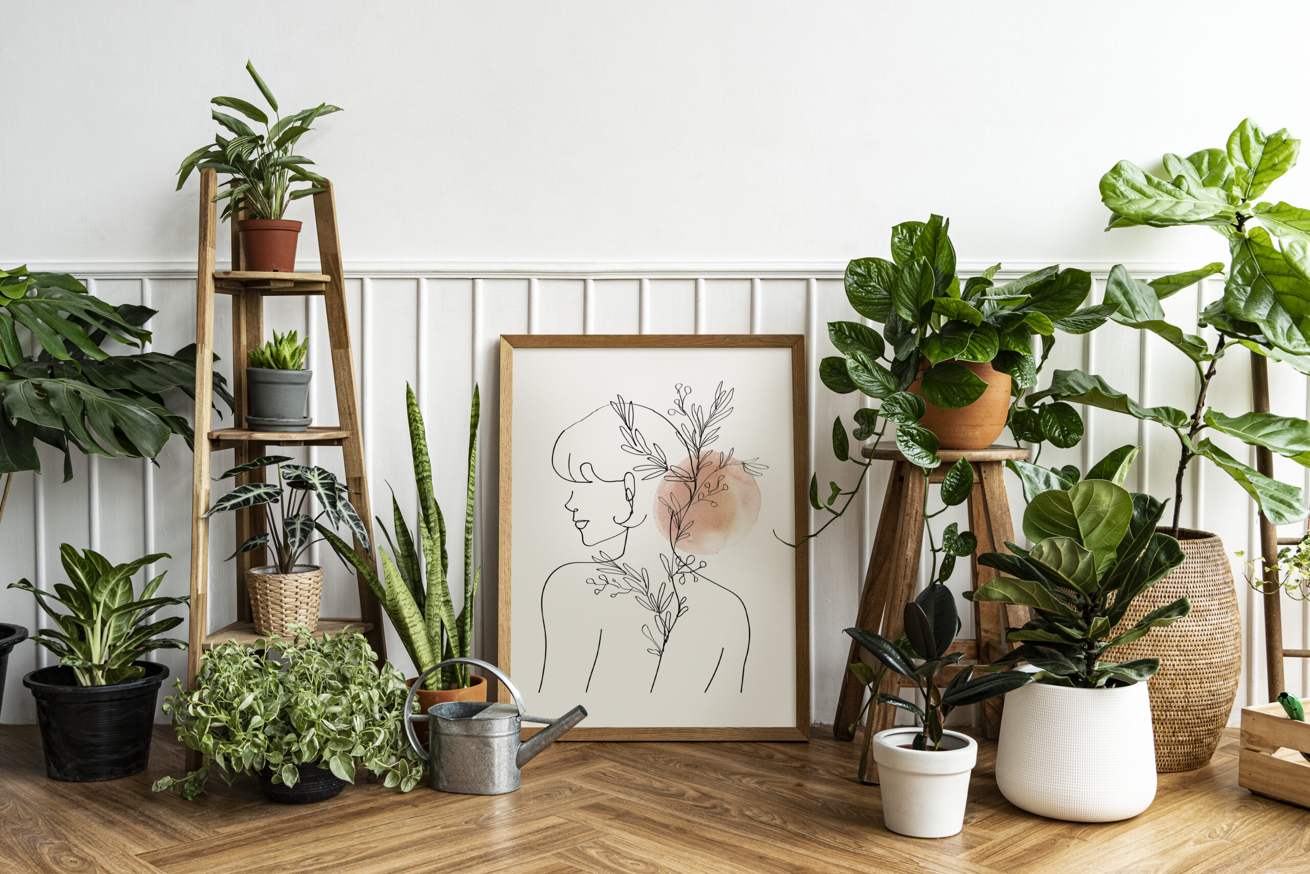 botanica in casa