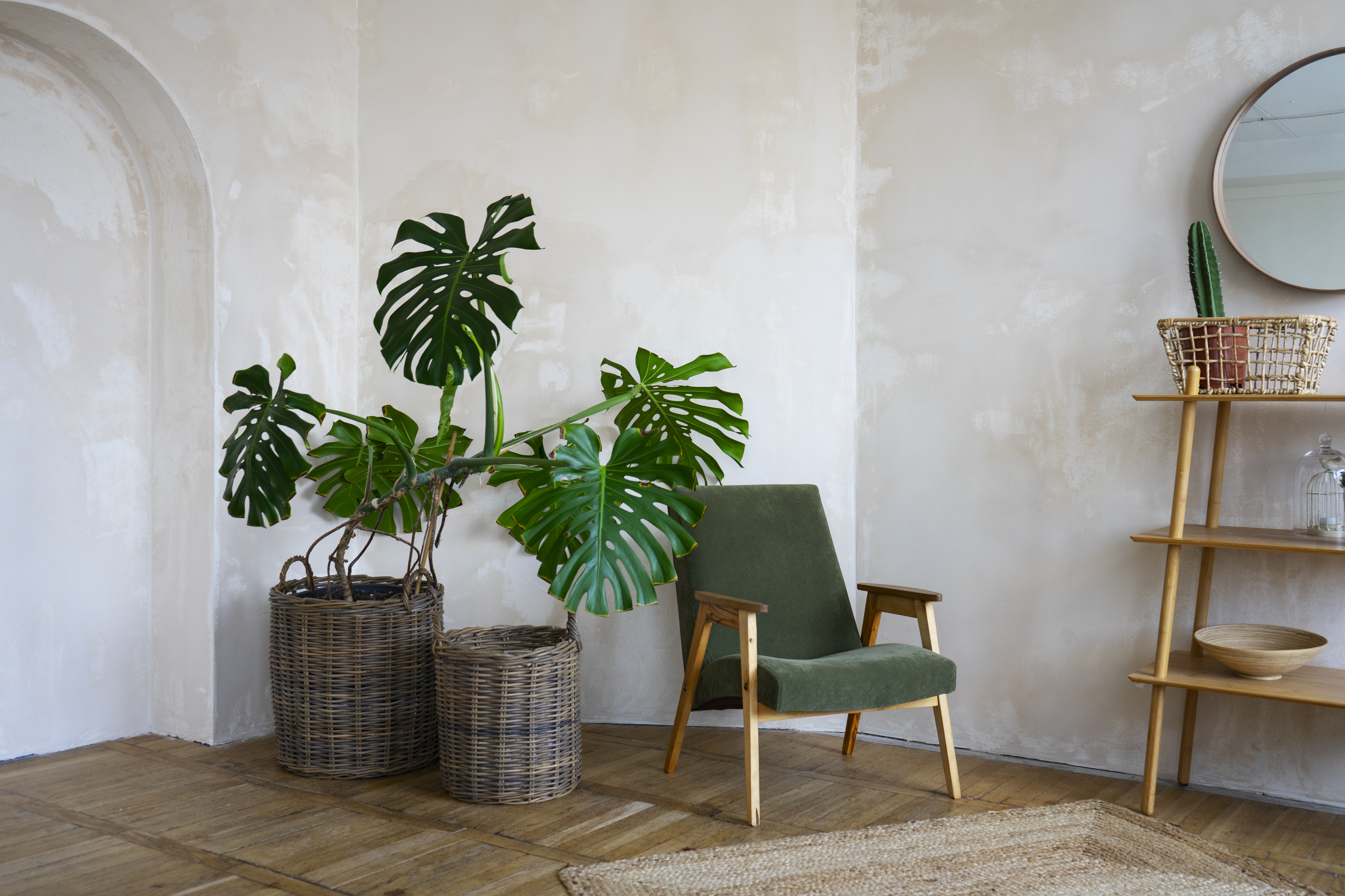 botanica in casa