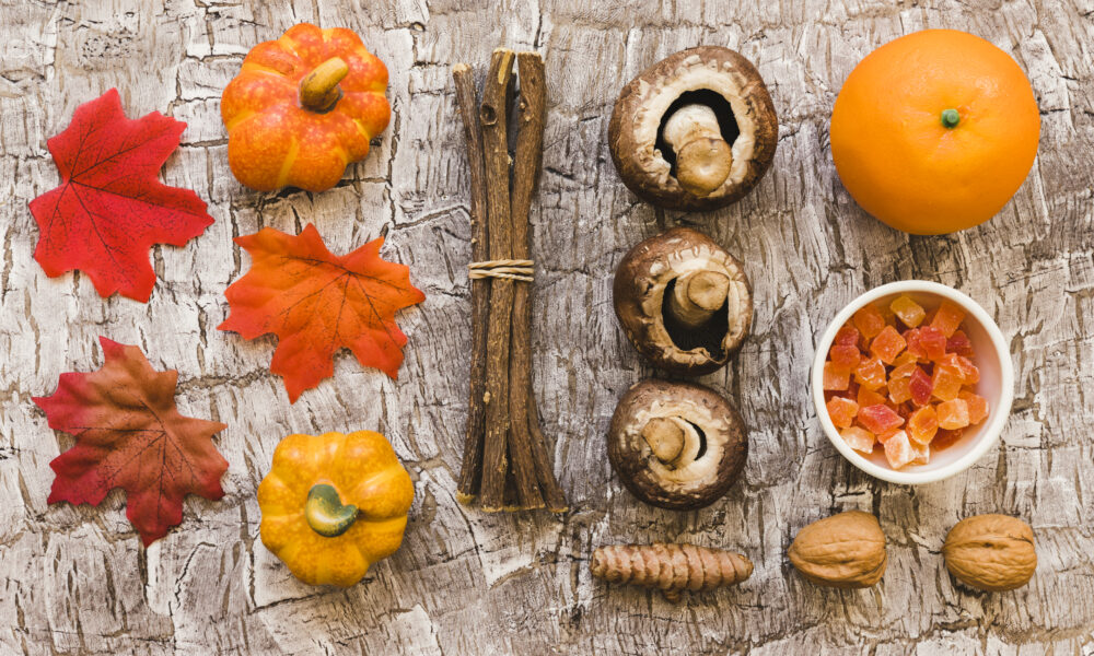 sapori selvatici autunno