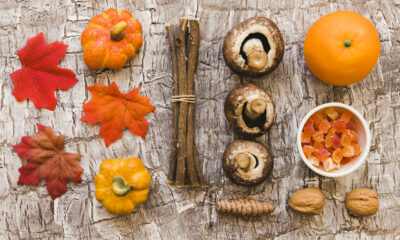 sapori selvatici autunno