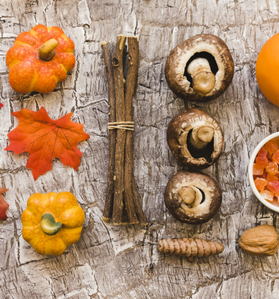sapori selvatici autunno