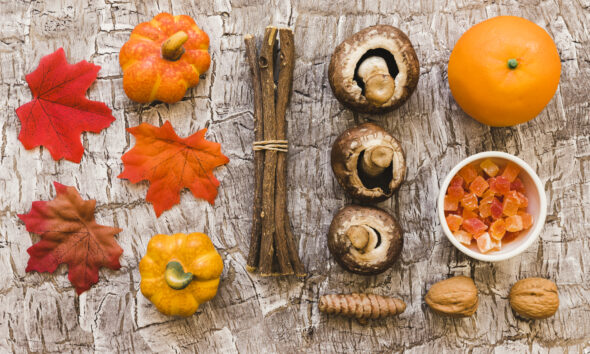 sapori selvatici autunno