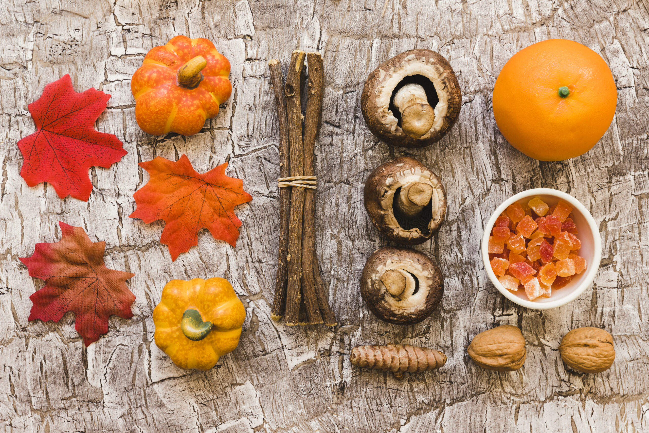 sapori selvatici autunno