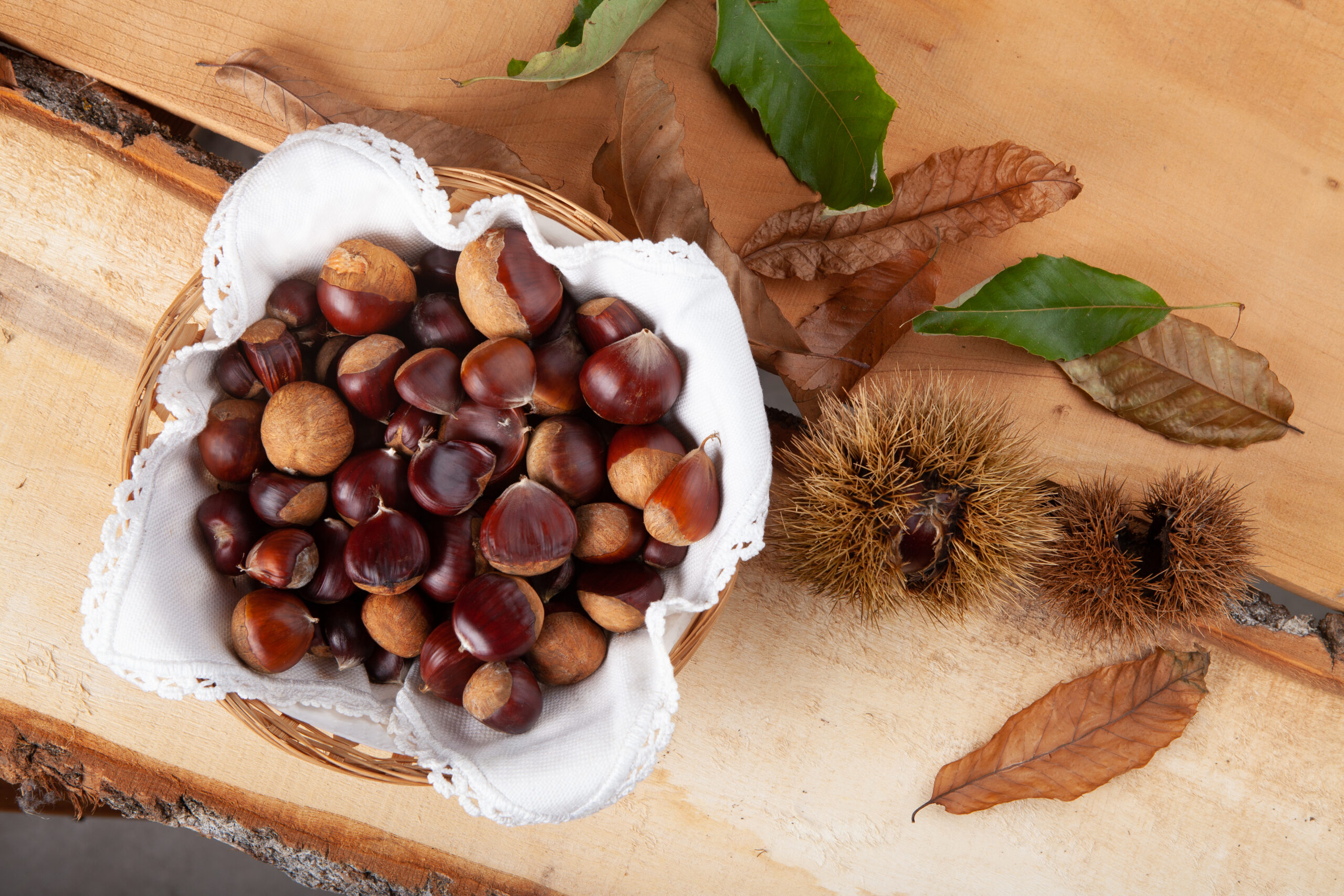 sapori selvatici castagne