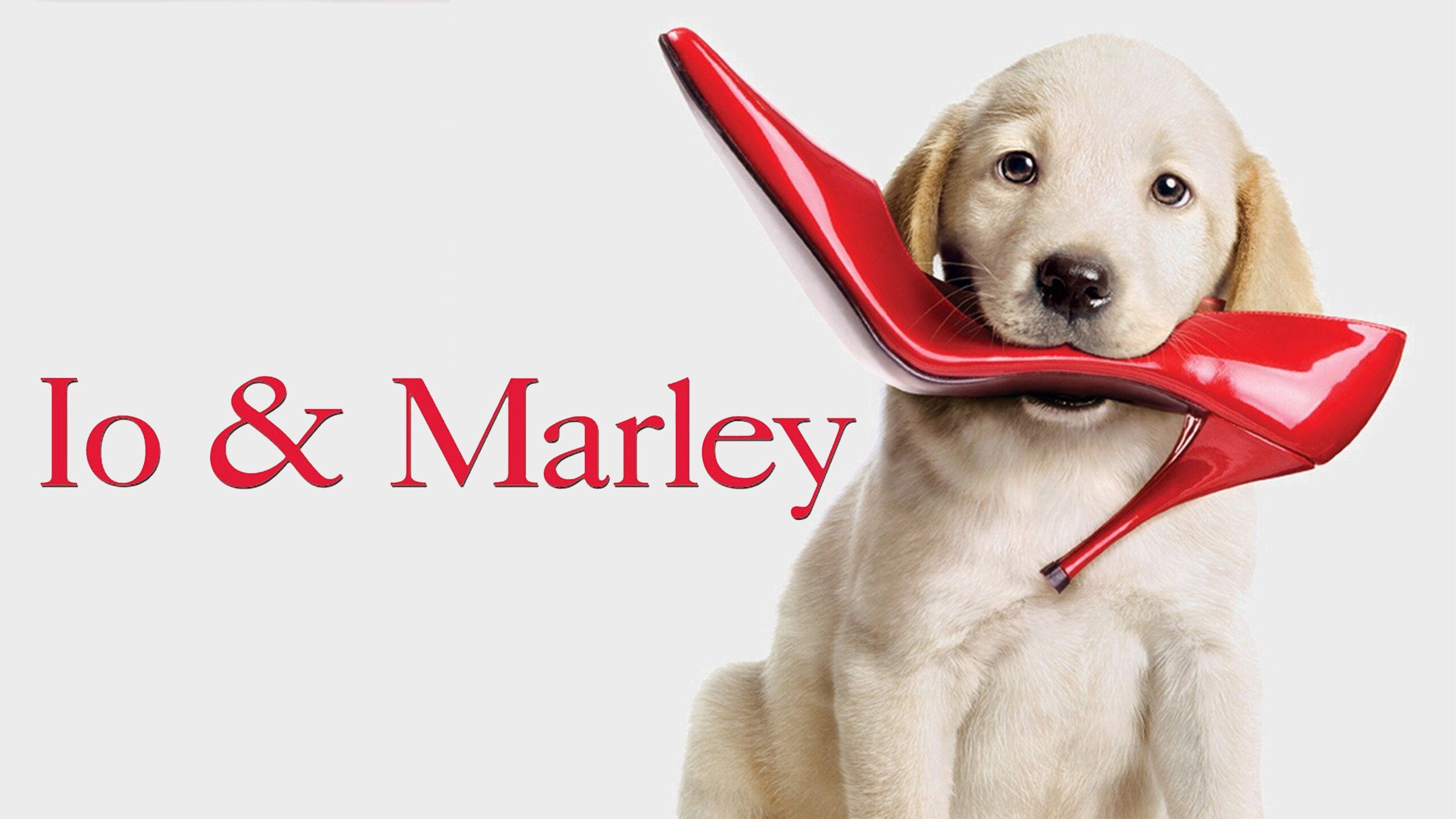 Libri sui cani da leggere
