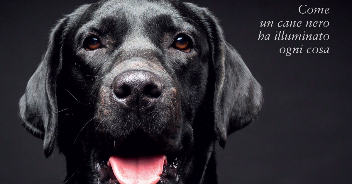 Libri sui cani da leggere