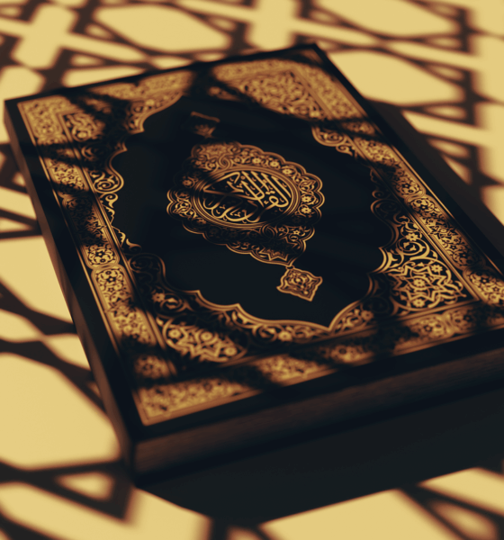 Capire il conflitto in Palestina