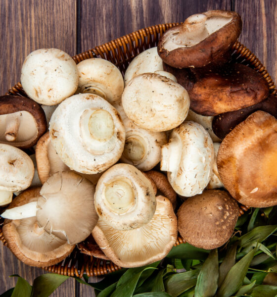 funghi e castagne ricette autunno