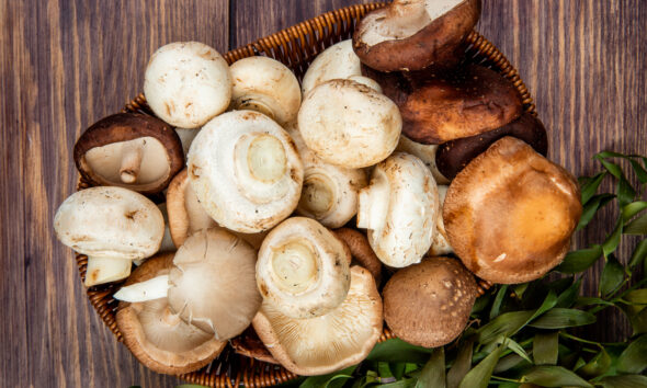 funghi e castagne ricette autunno