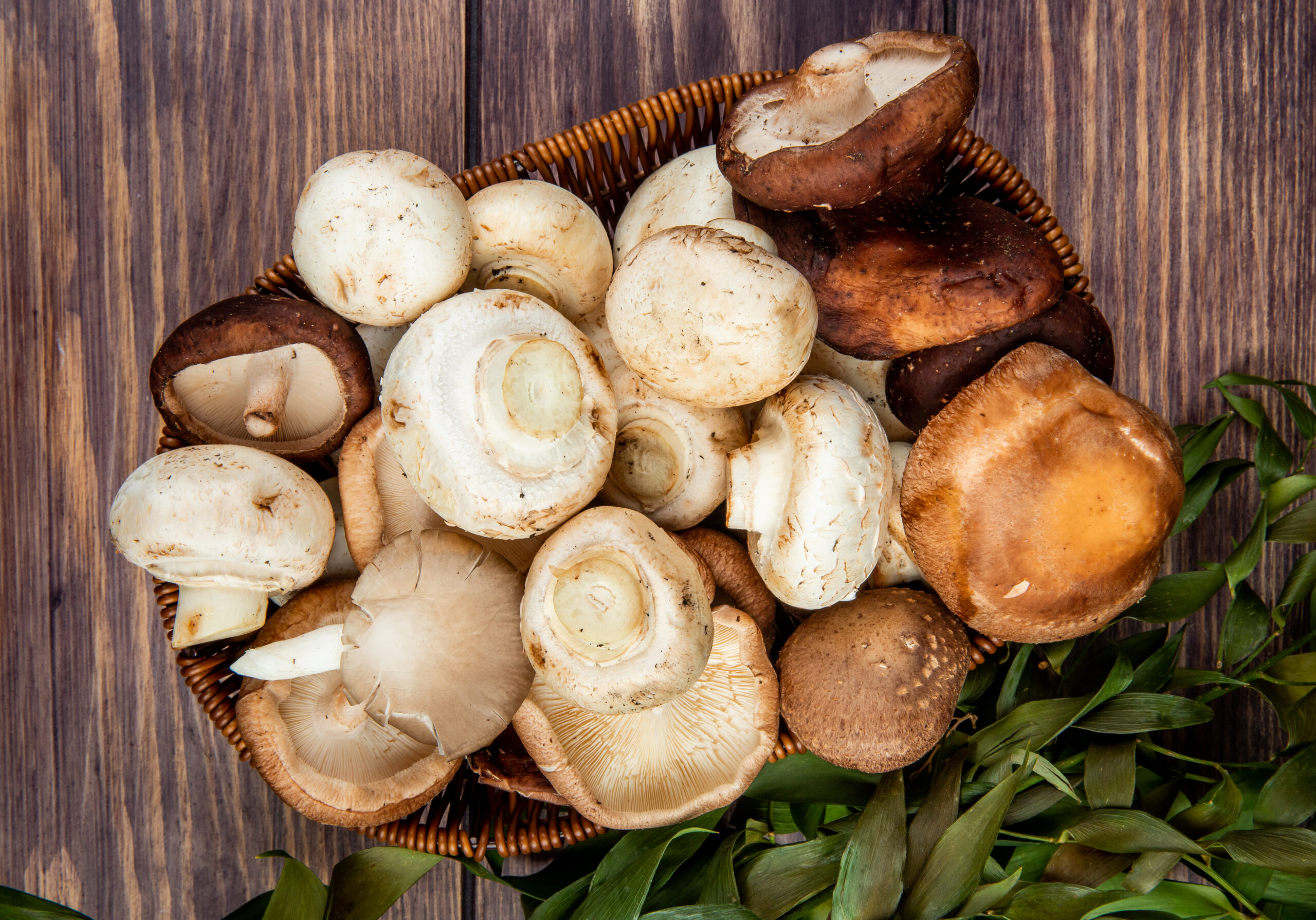 funghi e castagne ricette autunno