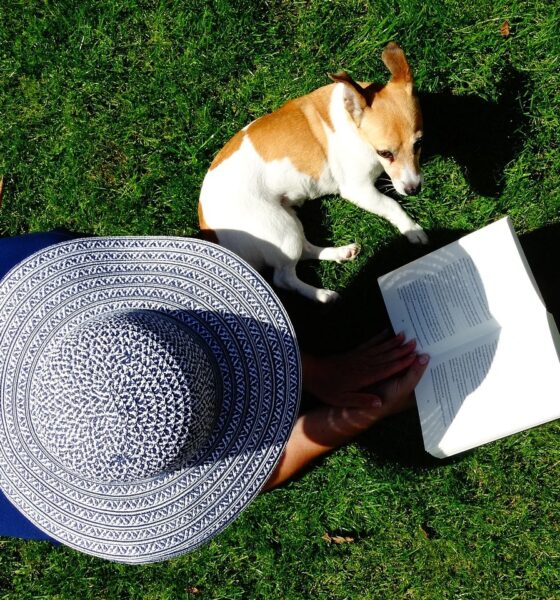 Libri sui cani da leggere