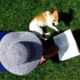 Libri sui cani da leggere