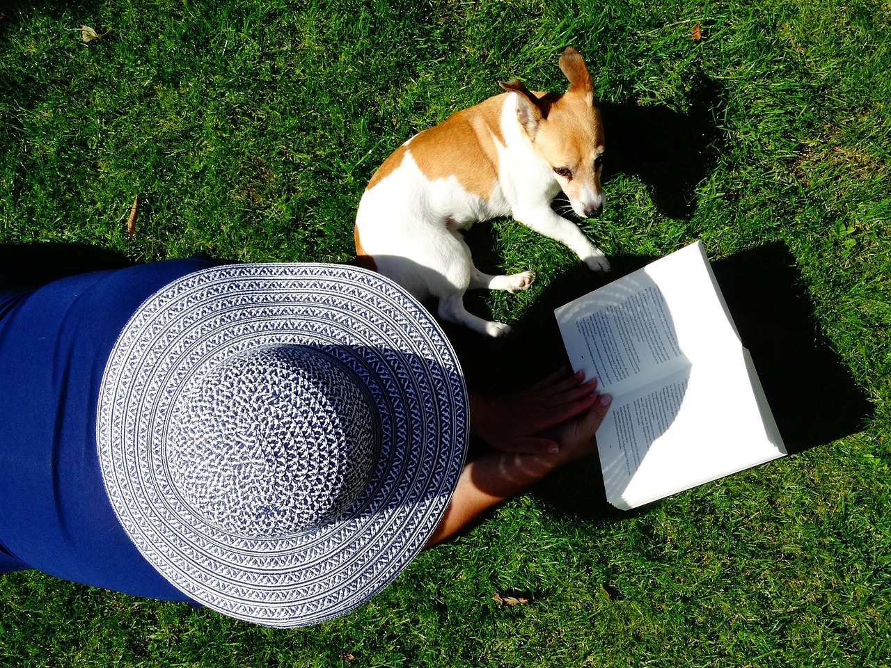 Libri sui cani da leggere