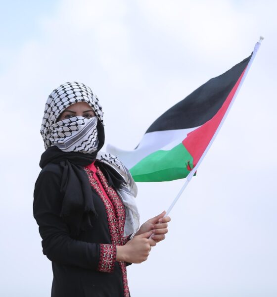 Passerelle Pro Palestina