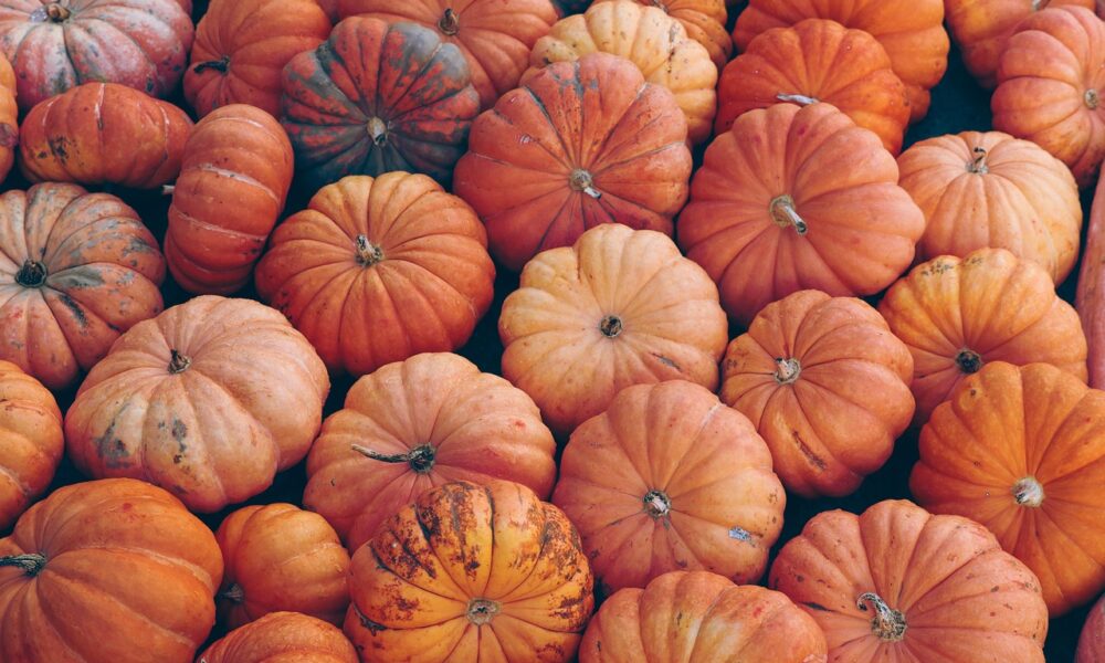 Ricette con la zucca