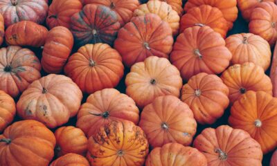 Ricette con la zucca