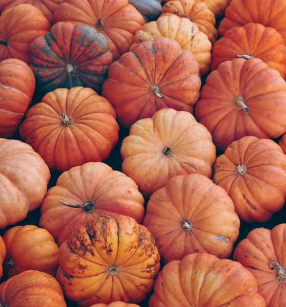 Ricette con la zucca