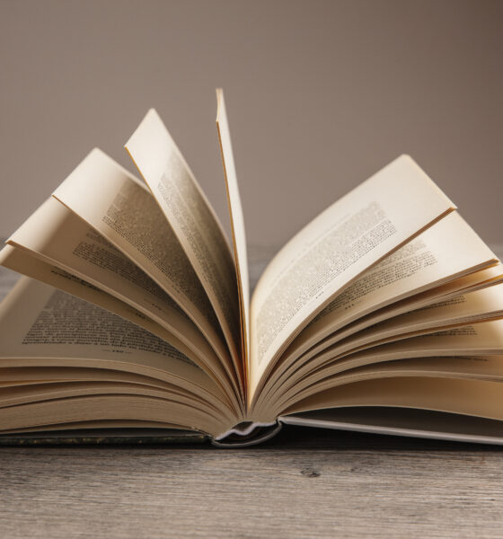 romanzo sociale oggi